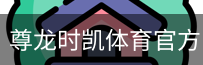 尊龙时凯体育官方网站
